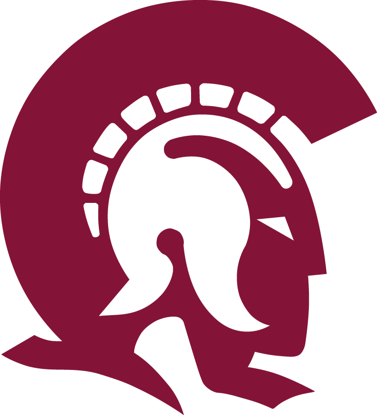 Arkansas-Little Rock Trojans 1997-Pres Primary Logo diy fabric transfer